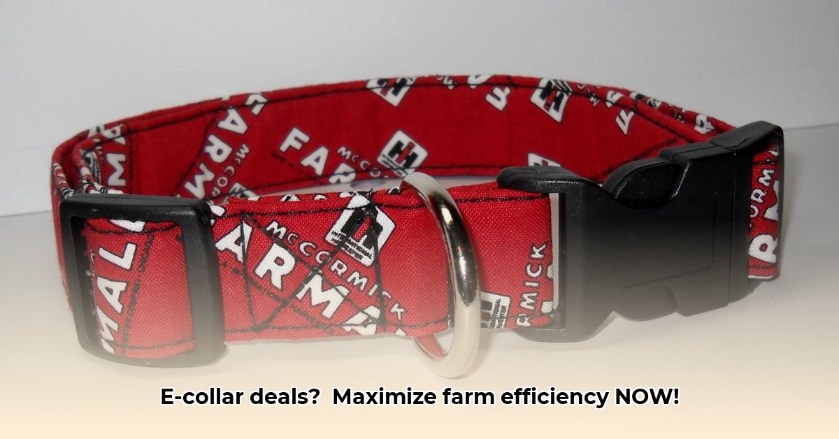 e-collar-tractor-supply